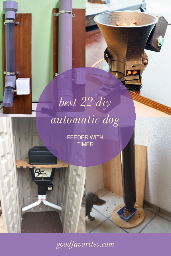 Best 22 Diy Automatic Dog Feeder with Timer – Home, Family, Style and